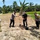 Bhabinkamtibmas Polsek Simpang Empat Dorong Swasembada Pangan Lewat Penanaman Jagung di Desa Sipaku Area