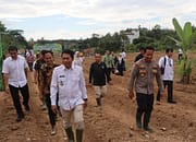 Penanaman Jagung Serentak Kuartal III Tahun 2025 Forkopimda Balangan Tanam Jagung di Batu Piring Paringin Selatan