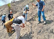 POLSEK BANDAR PULAU TANAM JAGUNG DI LAHAN 1 HEKTARE, DUKUNG KETAHANAN PANGAN NASIONAL