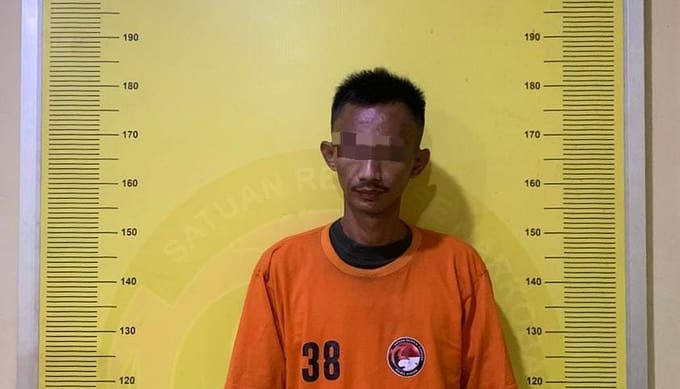 Satres Narkoba Polres Asahan Amankan Pria Diduga Edarkan Sabu di Perkebunan Sawit