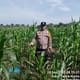 Bhabinkamtibmas Polsek Simpang Empat Lakukan Monitoring Program 1 Desa 1 Hektar di Desa Sei Dua Hulu
